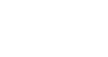 The Cruiser Company