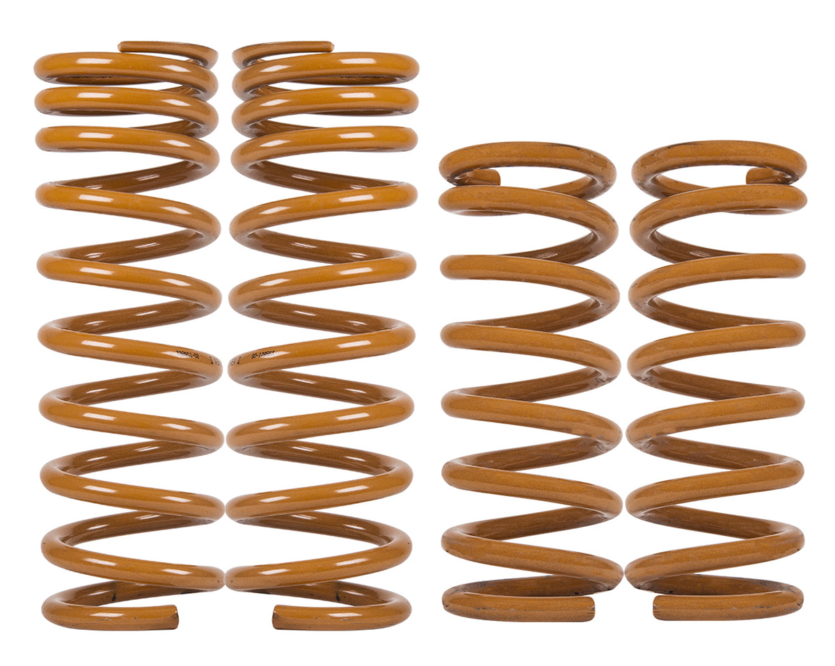 Tough Dog Coils Only Coil Spring Kit – Land Rover Discovery – Light Rear Load 0-300kg – Bullbar + Winch