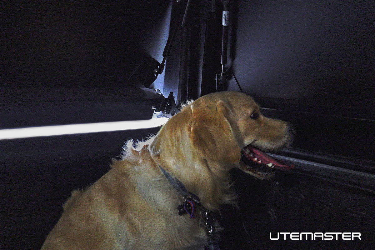 Toyota Hilux Dog Vent Kit