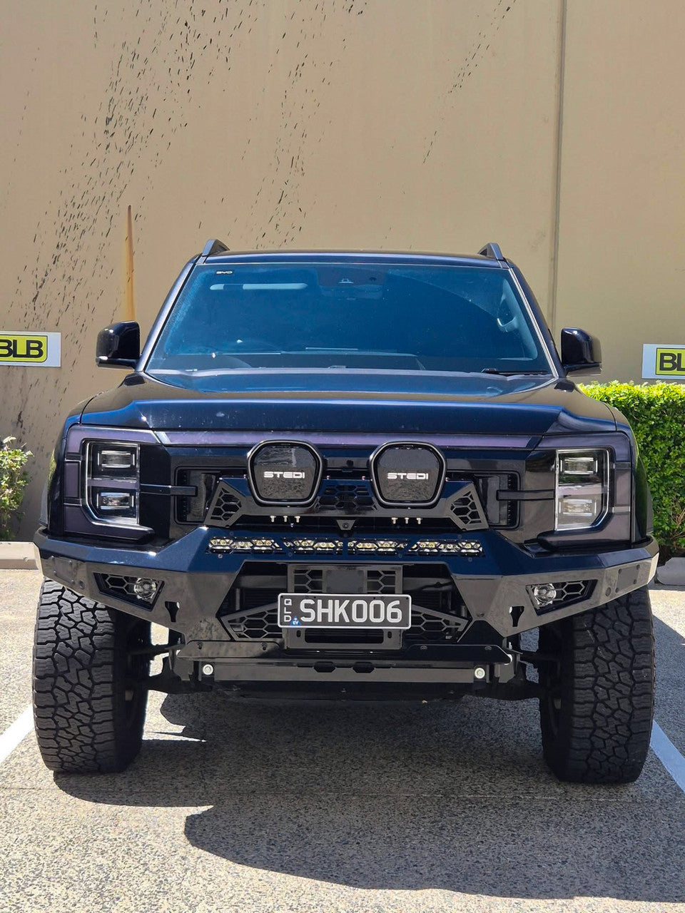 Offroad Animal - Predator bull bar to suit, BYD Shark 2025 to current