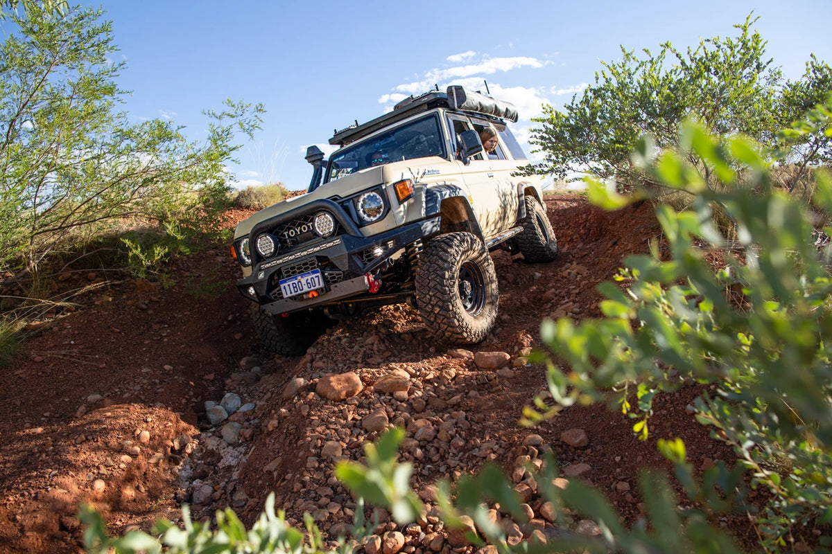 Offroad Animal - Predator Bull bar, Suitable for Toyota Land Cruiser (facelift) 76, 78, 79 Dual Cab, 2024 on
