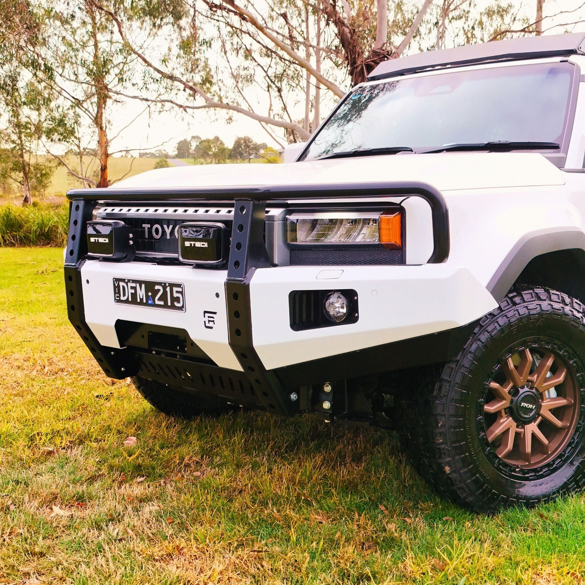 250 Series Toyota LandCruiser Prado Hooped (Dallas) Bull Bar - Altitude