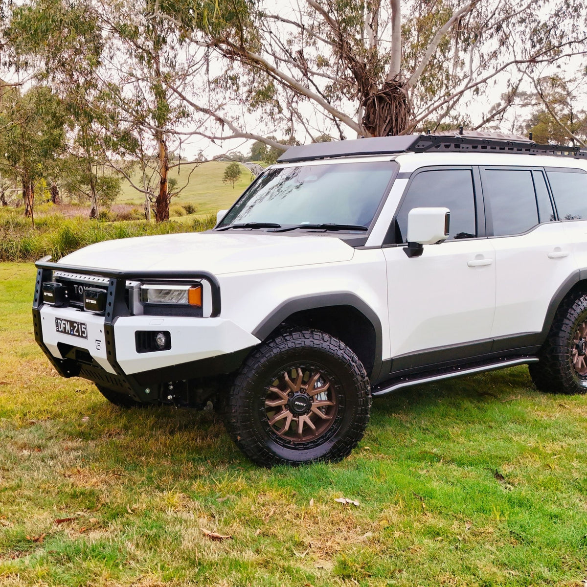 250 Series Toyota LandCruiser Prado Hooped (Dallas) Bull Bar - GX