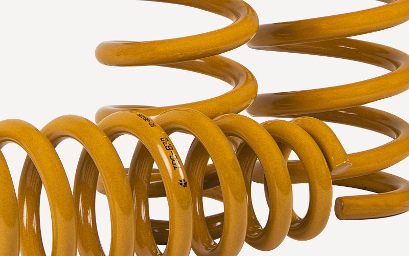 Tough Dog Coils Only Coil Spring Kit – LDV G10 – Light Rear Load 0-300kg