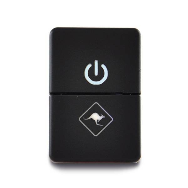 Dual Input TY2 Switch LF Logo