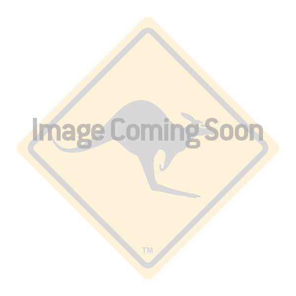 Replacement HID Bulb RM and RMDL 50W 4200K natural white